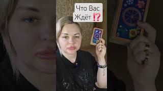 ️Это Вас Точно  Ждёт ⁉️️‍ #таросегодня #раскладтаро #гадание #отношения #любовь #ясновидение