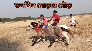 dolphin gurar dur sylhet, ডলপিন ঘোড়ার দৌড় দেখেন,। bajar tv