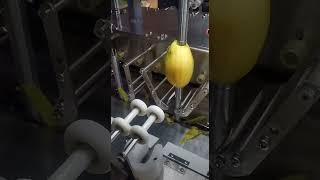 16 cutter heads, potato peeler, automatic production line