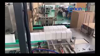 Automatic top load case packer for Cosmetic box-Vertical case packaging machine for Boxed products