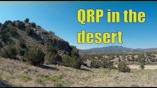 QRP in the desert. Wild Hogs, bugs and horses.  Portable Ham Radio