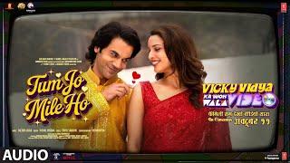 Tum Jo Mile Ho (Audio): Rajkummar Rao, Triptii, Sachin-Jigar, Vishal | Vicky Vidya Ka Woh Wala Video