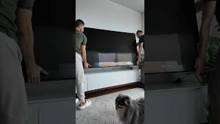 NYC Apartment Updates (TV) #interiordesign #nyc #apartment #dog #aesthetic #sonytv