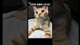 고양이도 슬픔을 느끼나요?