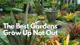 Why the Best Gardens Grow Up, Not Out! - The Magic of Vertical Space