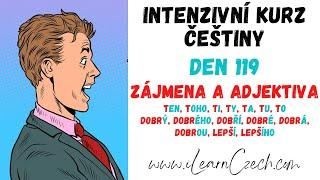 Intensive Czech course 119: Pronouns and adjectives in the nominative and accusative