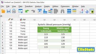 SPSS for beginners in 22 minutes - enter data, plot and t-test