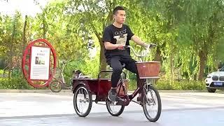 The three-wheel bicycle | 24-inch adult tricycle with a rear cargo basket