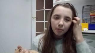 Моя жизнь и мой хомяк.Камера,мотор поехали....