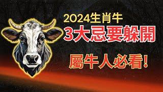 屬牛人，躲開這3大忌讳！生肖牛2024年轉運的關鍵，需要避開這3大忌！早防備，躲開禍患，迎來好運！ #2024年屬牛運程 #2024生肖牛運勢 #2024属牛运势 #2024属牛运程