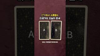 신기해서 소름돋는 타로 오늘의 운세 결과는 댓글에️