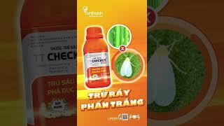 TT Checker 270SC quản lý hiệu quả đối tượng rầy phấn trắng.#tanthanhco   #youtubeshorts