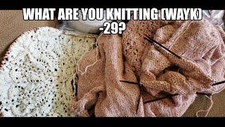 What Are You Knitting (WAYK) - 29?