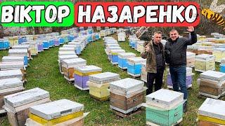 На Пасіці Віктора Назаренка 500+ Технологія бджільництва 