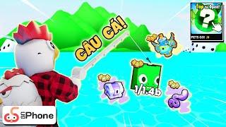 Cũng Là CÂU CÁ Nhưng Là Trong Cập Nhật Mới PETS GO! - Roblox