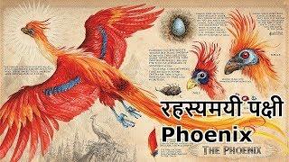 Phoenix - The Mythical Bird | In Hindi