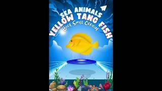 get to know about yellow tang Fish #education #fish #fishing #shortvideo #fyp #seaanimal