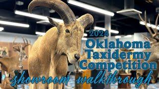 2024 Oklahoma Taxidermy Competition - Showroom Walkthrough