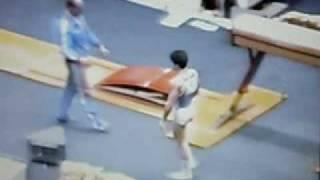 paolo bucci rotterdam volteggio campionati del mondo 1987