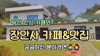 [내돈내산리뷰]#부산신상카페#123번째/장안사 카페 3곳과 맛집 궁금하신 분들께 알려드립니다