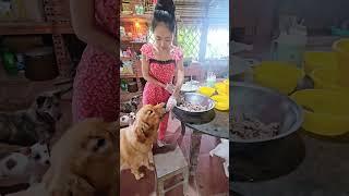gold xin ăn