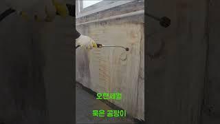 묵은 실내곰팡이 해결은 제우스가 진행합니다.생활공간복원 전문업체입니다.제우스1599-9957