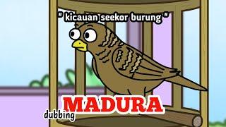 Kicauan seekor burung  -  animasi dubbing Madura || ep animation