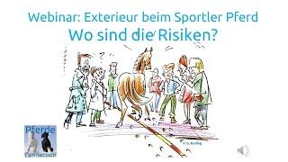 Pferde Connection Webinar-Vorschau Exterieur beim Sportler Pferd - Wo sind die Risiken?