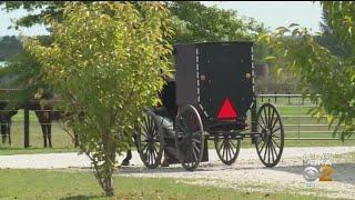 Two Amish Men Pulled Over For Drinking And Driving Their Horse And Buggy