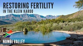 Restoring Fertility in the Klein Karoo | Permaculture in the Desert