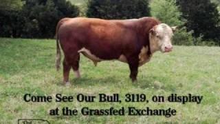 Grassfed Exchange Display Cattle - Happy Cattle Company