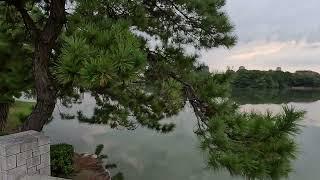 Walk Through a Lake at Ohori Park [4K] - Fukuoka, JP