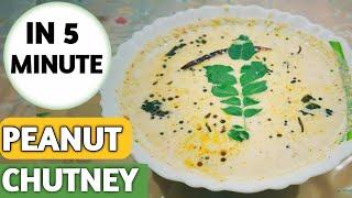 5 minute Peanut Chutney Recipe for Idli/Dosa | South Indian Style Peanut Chutney | मूंगफली की चटनी