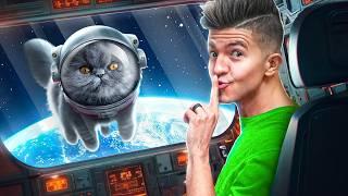 Preston Sent My Cat To Space!