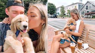 VLOG: first days with our golden puppy Brody!!