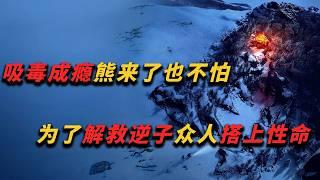 2025俄羅斯驚悚電影《狂犬病》，人類大戰感染狂犬病毒的棕熊。揭露極端環境下文明秩序的崩塌#drama #病毒 #灾难 #电影 #推荐 #惊悚 #movie