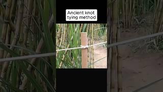 ancient Knot tying method #facts #reallifehacks #shortsfeed