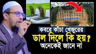 কবরে কাঁচা খেজুরের ডাল দিলে কি হয়? ৯৯% মানুষ জানে না | শায়খ আহমাদুল্লাহ