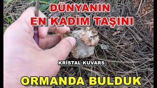 Kristal Kuvars | Dünyanın En Kadim Taşını Ormanda Bulduk | Doğal Taşlar | Sitrin