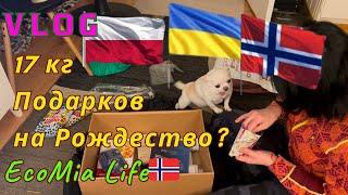 Vlog  ОГРОМНАЯ ПОСЫЛКА .17 кг ПОДАРКОВ!/Nº15 - 12.2024/EcoMia Life