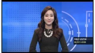 [2015-11-23] 도시계획연구소 서기섭대표 SBSCNBC 부동산따라잡기