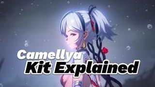 Wuthering Waves | Camellya Kit Breakdown, Builds, Weapons and Teams