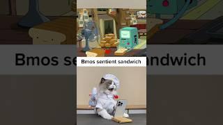 Animated cooking in real life be like  #thatlittlepuff #catsofyoutube