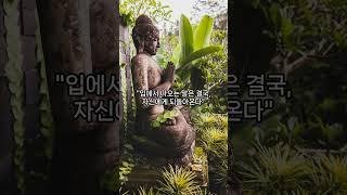 “무례한 사람에게 부처님은 이렇게 말씀하셨습니다” #좋은글 #명언 #자기수행 #인생조언 #긍정적마인드 #오디오북