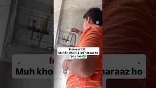 कड़वा सच-Being An Introvert#shorts