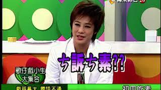【完整版】冰火五重天-歌仔戲小生大集合 楊懷民 春美 秀琴 許亞芬 #9804-21