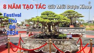 FESTIVAL THỦ ĐÔ ! Tình cờ gặp NV anh LÝ HUYNH mang cây ĐẸP NHẤT vườn đi chơi .