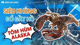 [SIÊU KHỦNG] ĐẢO HẢI SẢN | ĐỔ ĐẦY HỒ VỚI TÔM HÙM ALASKA