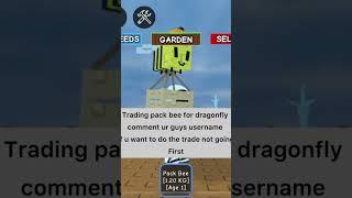 Trading pack bee for dragonfly ngf