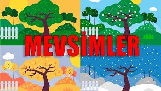 MEVSİMLER TANITIM | Çocuklar İçin Mevsimler Nasıl Oluşur?